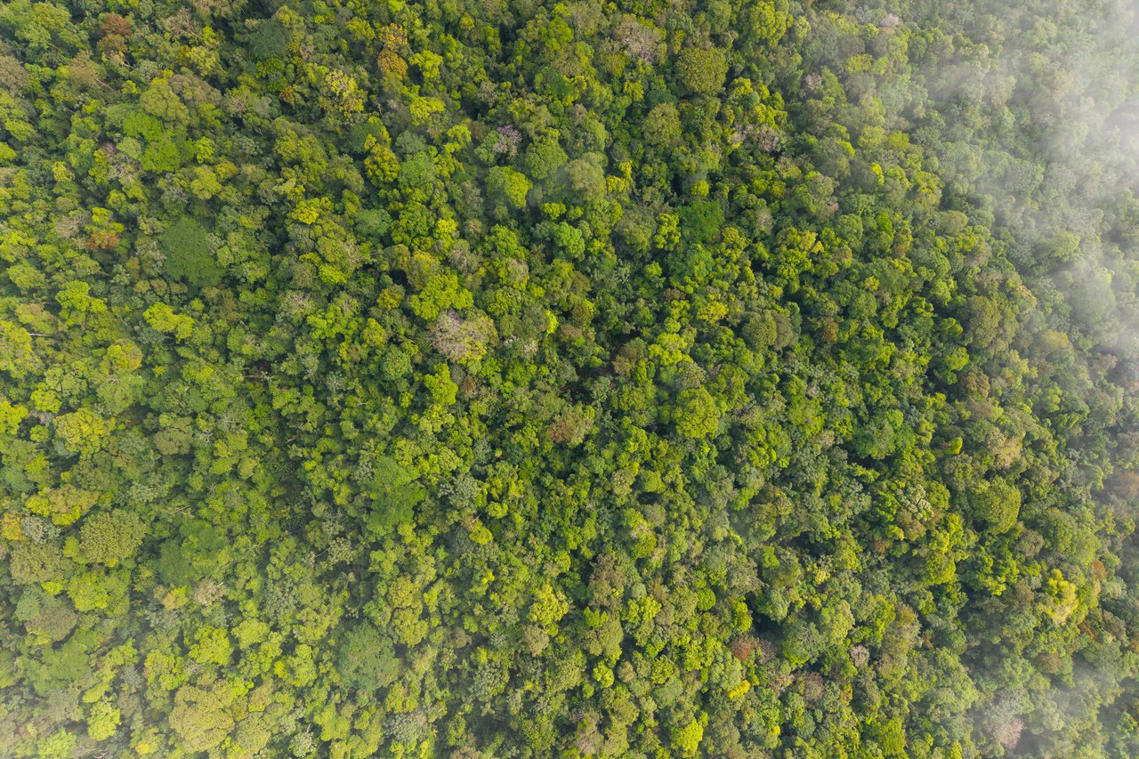 Finca Gran Bijagua: Breathtaking 10-Hectare Mountain Sanctuary in Bijagua, Costa Rica - Gallery image 6