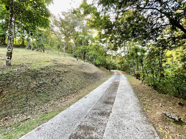 LG-002 Terreno Top Nuevo Arenal: Premium 1.45-Acre Gated Homesite in Nuevo Arenal | Panoramic Lake & Volcano Views, Private Boat Dock & Clubhouse - Gallery image 27