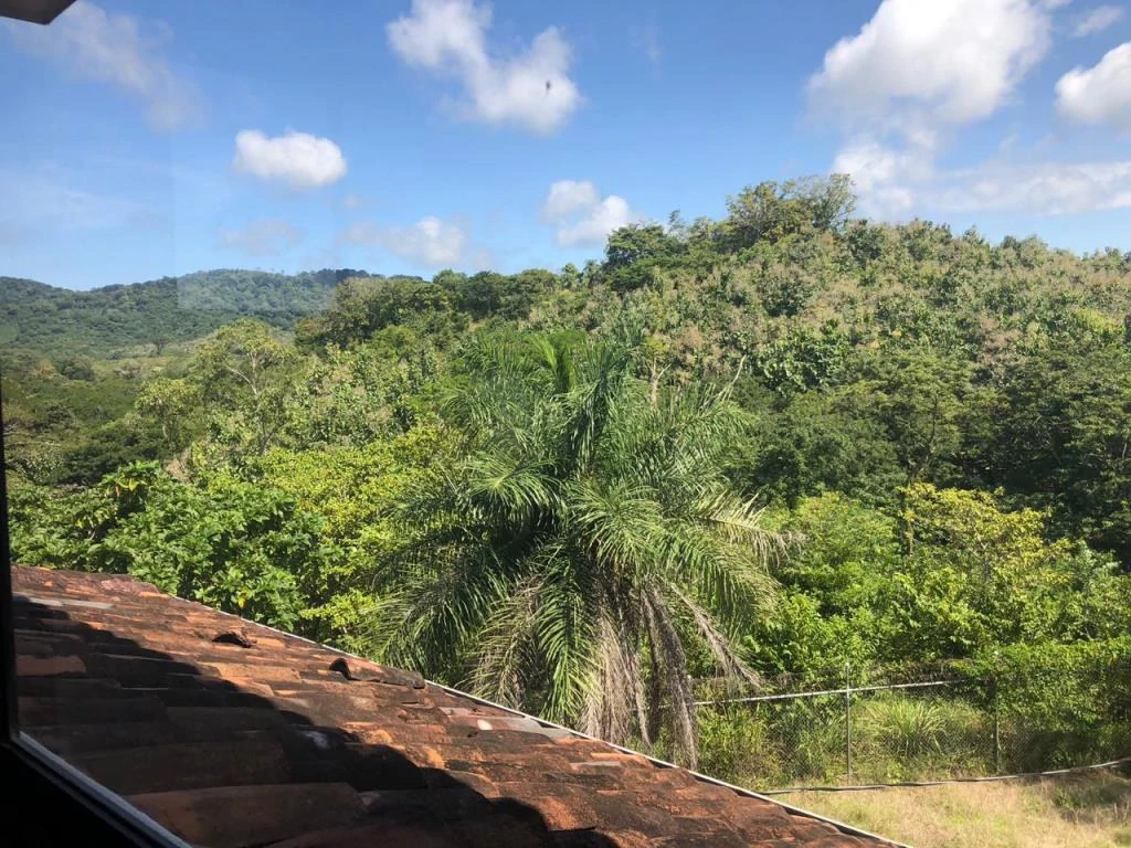 Teak Farm for Sale with a Hacienda Villa and 3 houses in La Cruz, 1 hour away from Liberia - Gallery image 28