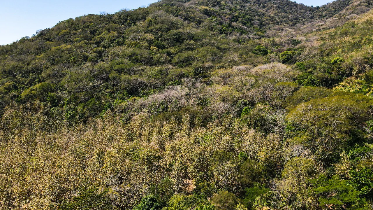 Ocean View Farm for Sale Guanacaste Costa Rica - Gallery image 6
