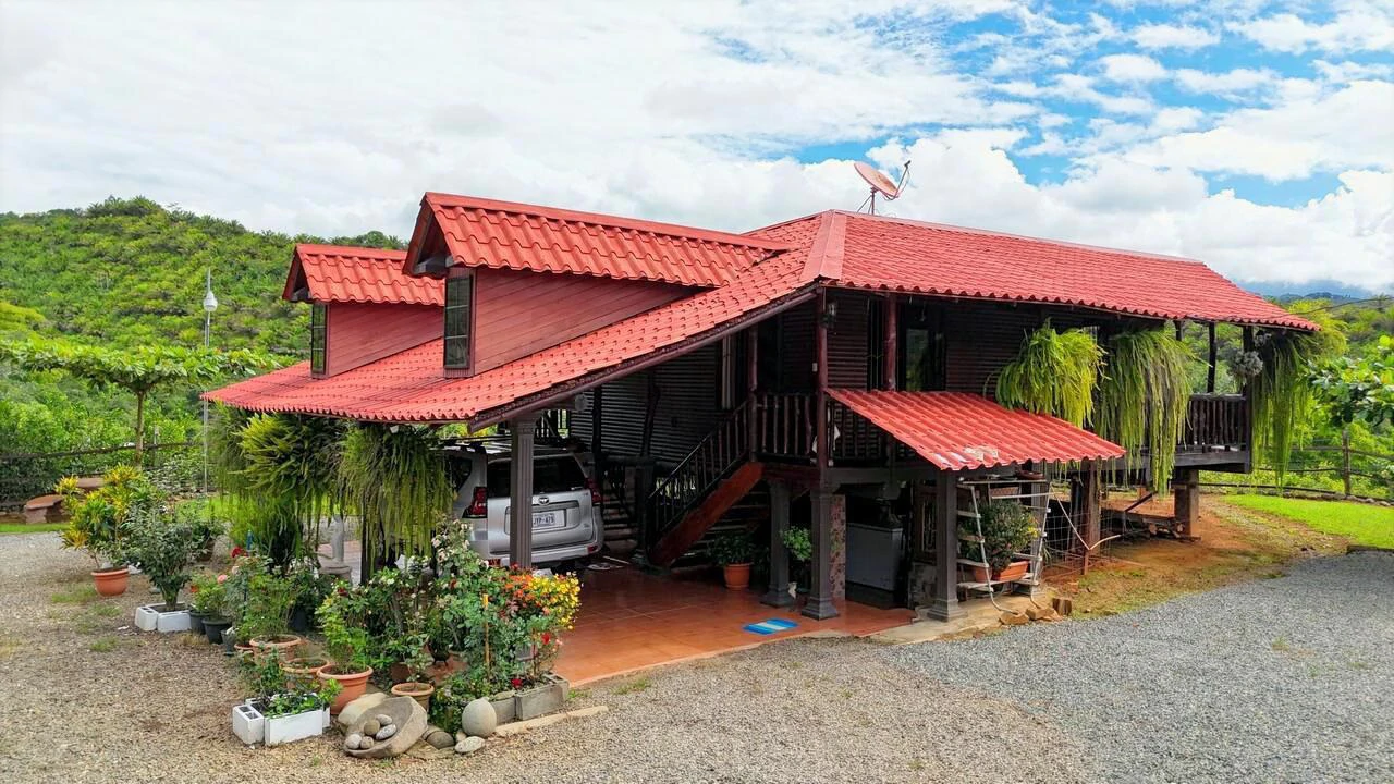 Charming Hardwood Cabin with Fruit Garden Near San Isidro - Gallery image 10