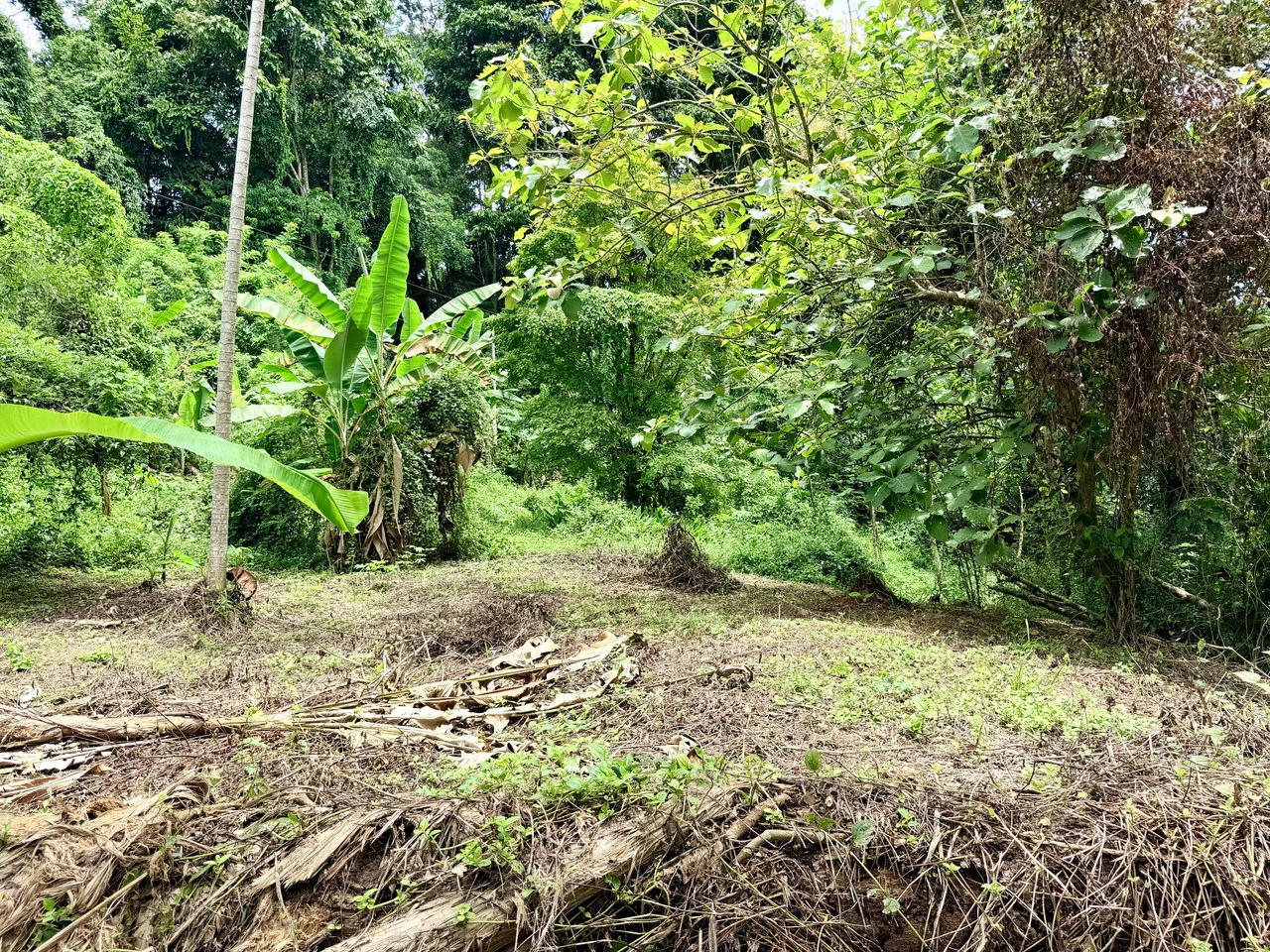 La Unión Road Development – Buildable Lots with River Access in Uvita - photo 14
