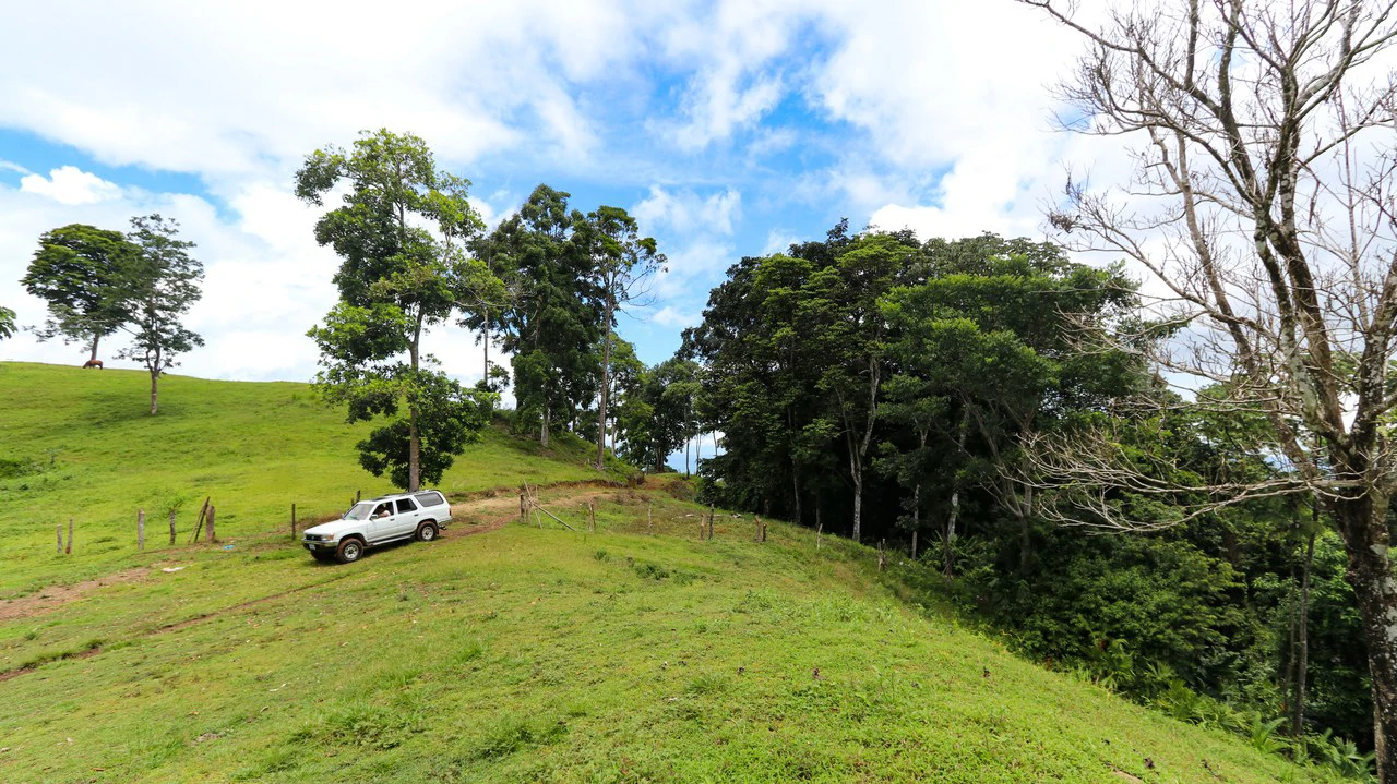 Unique Development Property Overlooking the Pristine Golfito Bay and Golfo Dulce - Gallery image 6