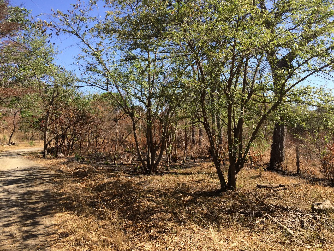 Large property, close to Playas del Coco - Gallery image 8
