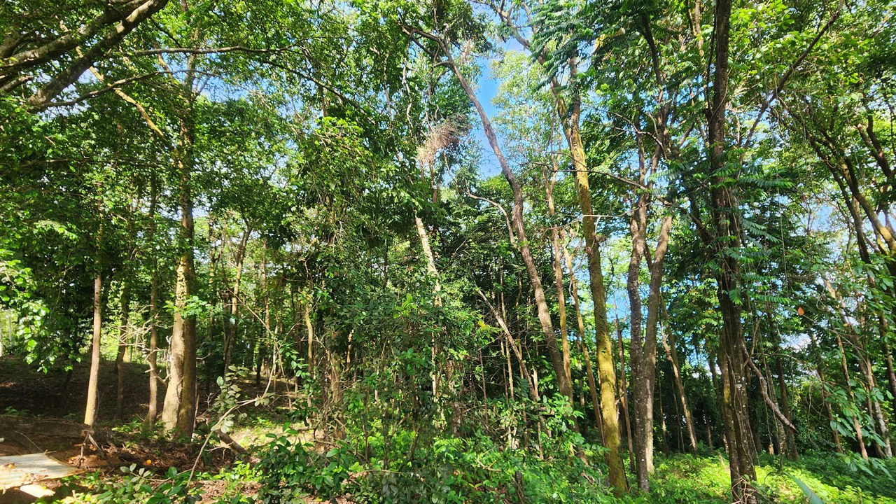 Villas Azul: Direct Beach Front Access in Uvita, 3 Villas, 2 Casitas, Development Land Piñuelas Beach, Uvita, Puntarenas, Costa Rica - Gallery image 75