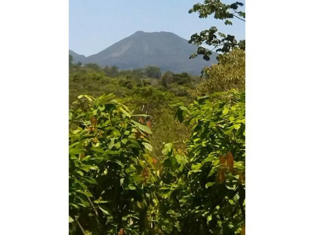 Cacao farm for sale, close to the Jungle Mountains of Bijagua,  with river frontage in a beautiful valley and soft rolling hills - Gallery image 3