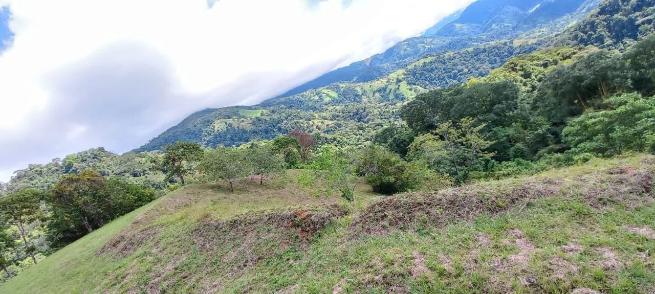 SECLUDED PARADISE WITH STUNNING VIEWS, WATERFALLS & ABUNDANT WILDLIFE - Gallery image 31