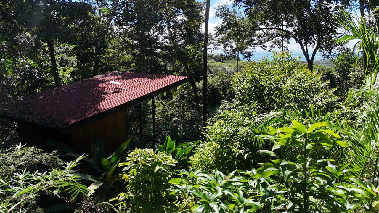 1.7 Acres Ocean View Lot with Producing Cabin in Uvita - Gallery image 11