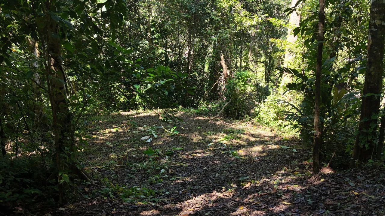 1.4-acre gated lot in Uvita - Gallery image 5