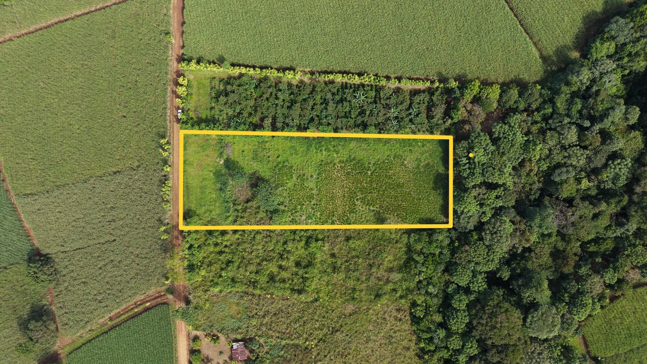 Home Construction Site For Sale in El Pilar