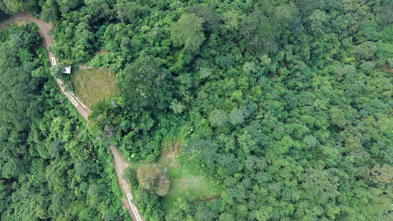 Ocean View Lot for Sale Coyote Beach Guanacaste Costa Rica - Gallery image 9