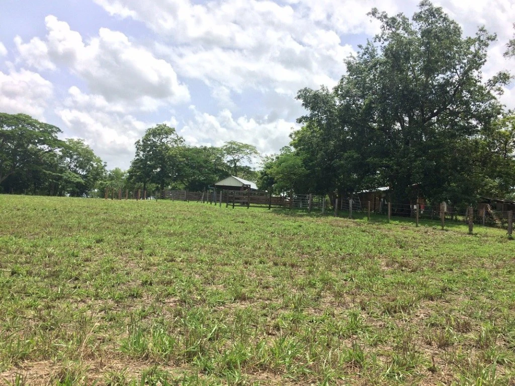 Propiedad de 79 hectáreas: Property of 79 hectares, located in Canas Dulces Liberia. - Gallery image 2