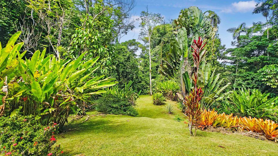 ID 498 - 3 Bd/3Ba w/Pool on 21,000m2 Lot, Punta Uva: Hilltop Estate with Expansive Outdoor Living, Infinity Pool, and Solar Power on 2.1 Hectares of Titled Land - Gallery image 33