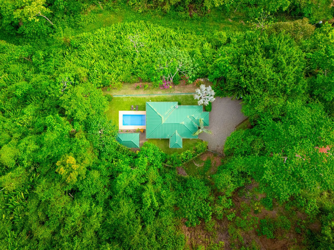 Casa Mono Titi: Front Ridge Ocean View  – Tres Rios, Costa Rica - Gallery image 4