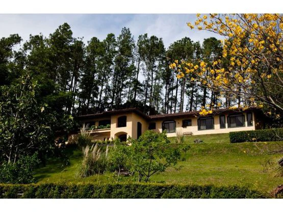 House For Sale in Piedades - Gallery image 2