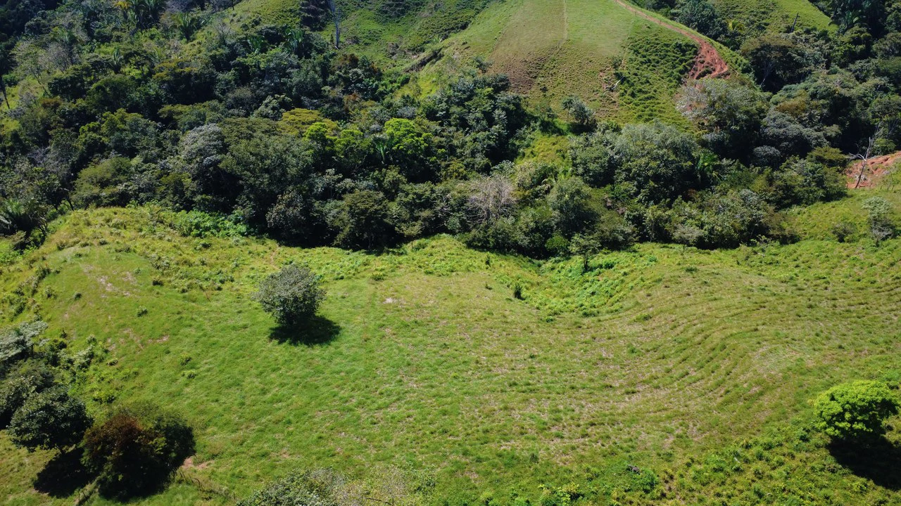 8HA EN VENTA, UBICADA EN BUENOS AIRES, PUNTARENAS.: Countryside Home Construction Site For Sale in Buenos Aires - Gallery image 7