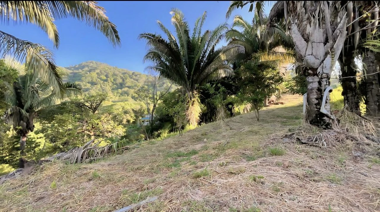 Exclusive Hermosa 1.2 Acre Lot with Panoramic Mountains and Ocean View. - Gallery image 17