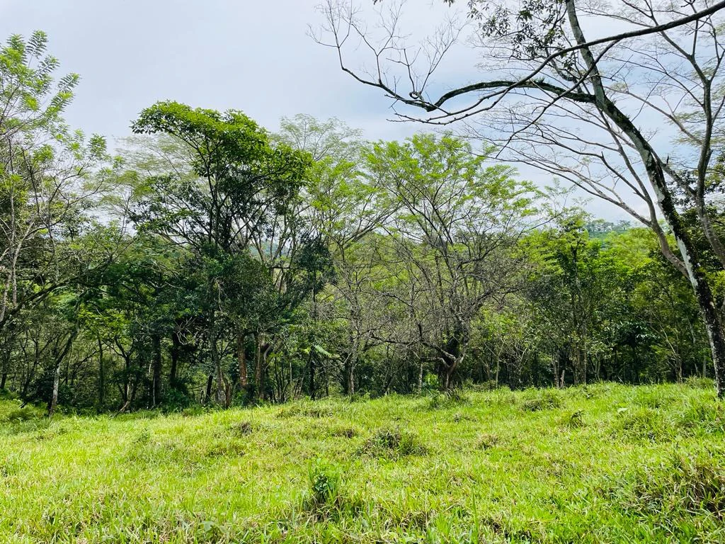 Farm for sale Puriscal Close to Universidad para la Paz Costa Rica - Gallery image 6