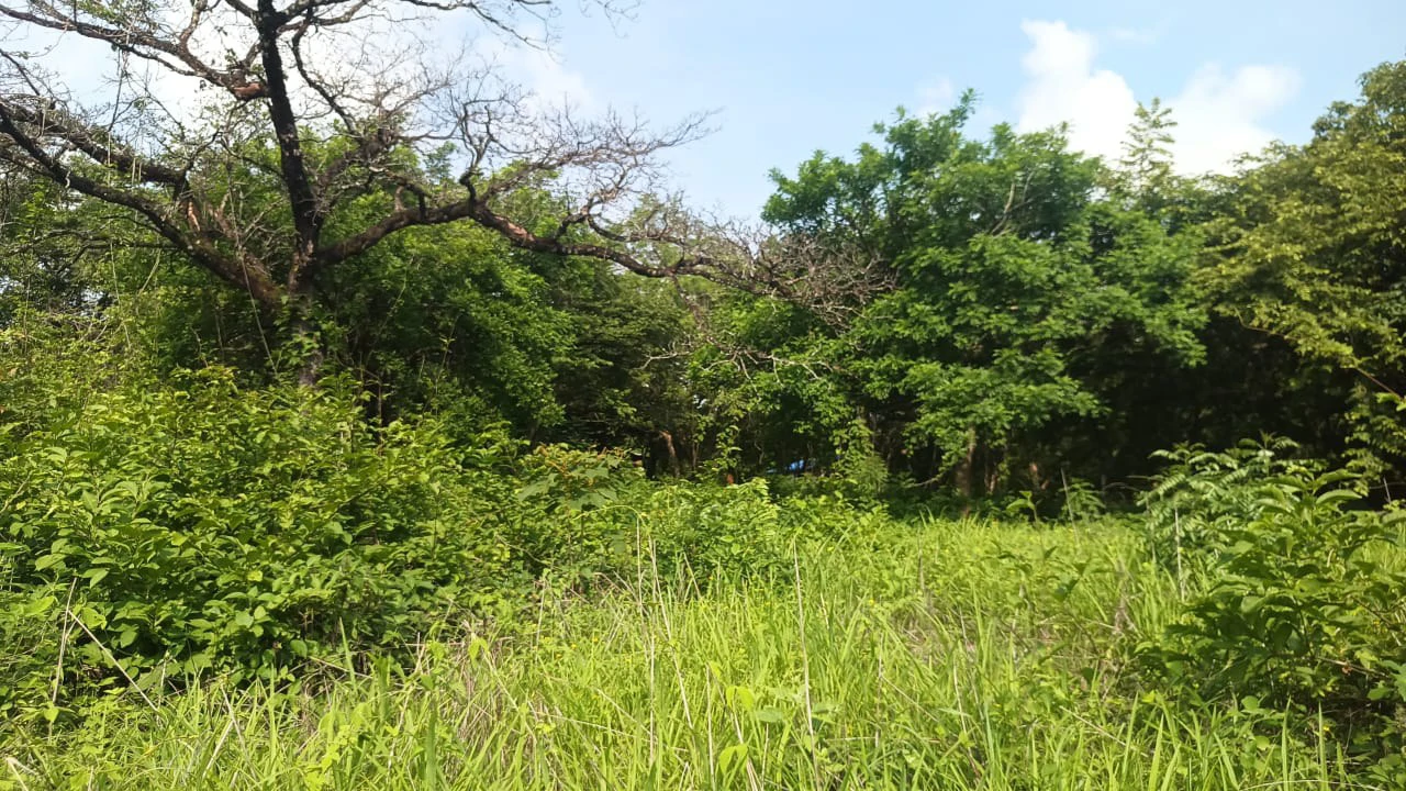 Airport Liberia property with very wide direct frontage on High - Traffic Route 21 to the Beaches - Gallery image 5