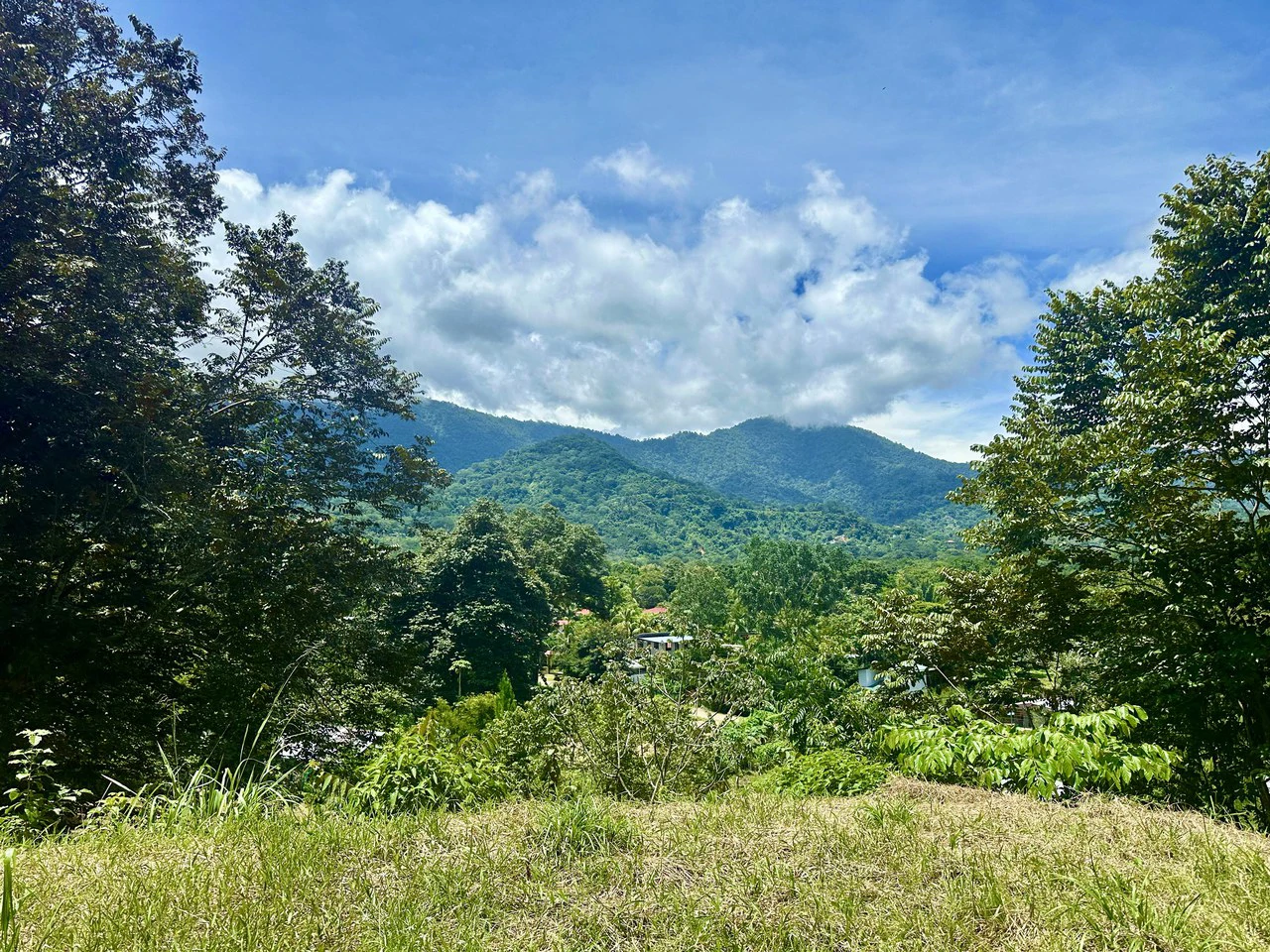 Build-Ready Lot in Ojochal’s Calle Cacique | Easy Access & Stunning Mountain Views - Gallery image 3