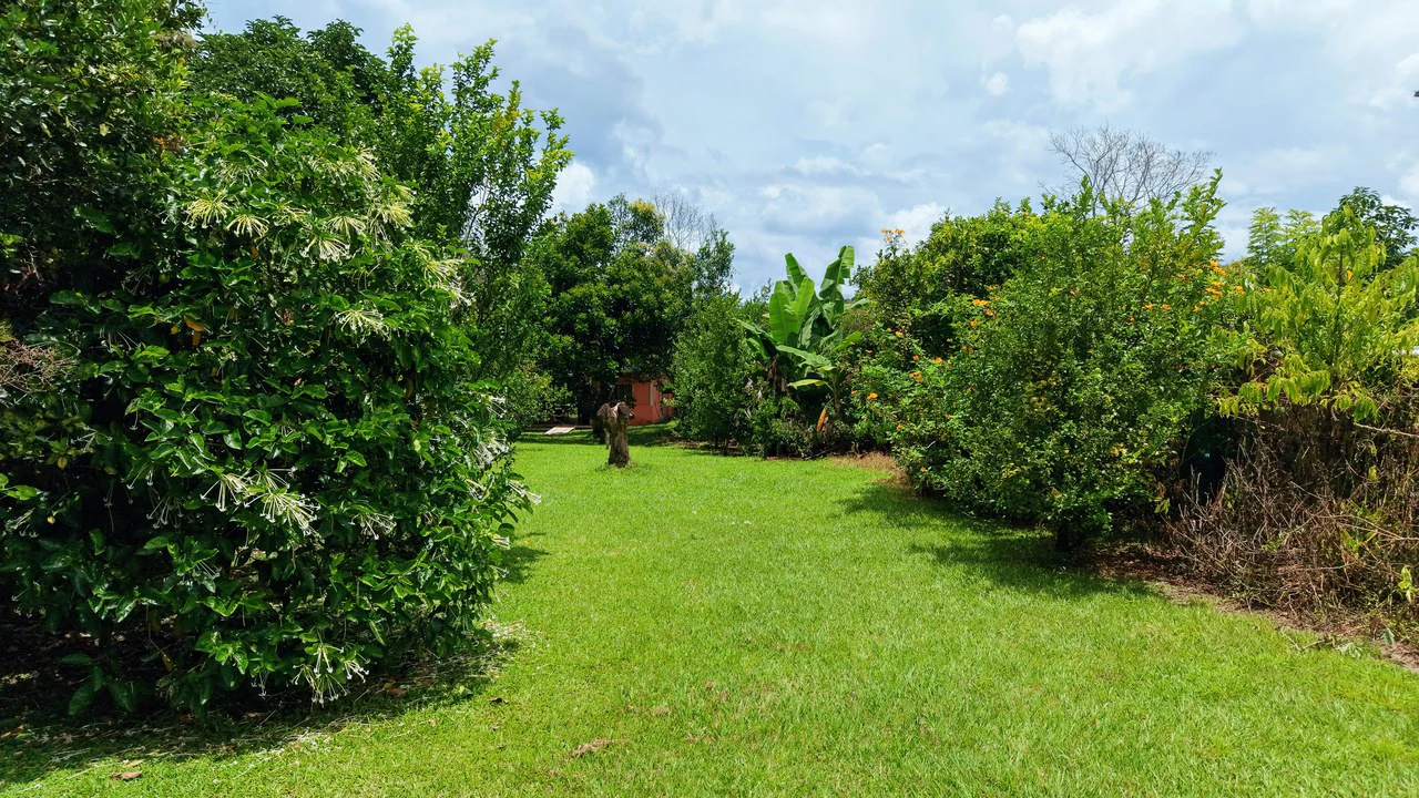 LOTE PLANO CON FRUTALES: Mountain Home Construction Site For Sale in General Viejo - Gallery image 3
