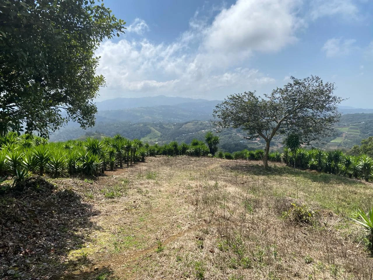 Farm with Exceptional Potential for Sale in San Ramón, Alajuela - Gallery image 8