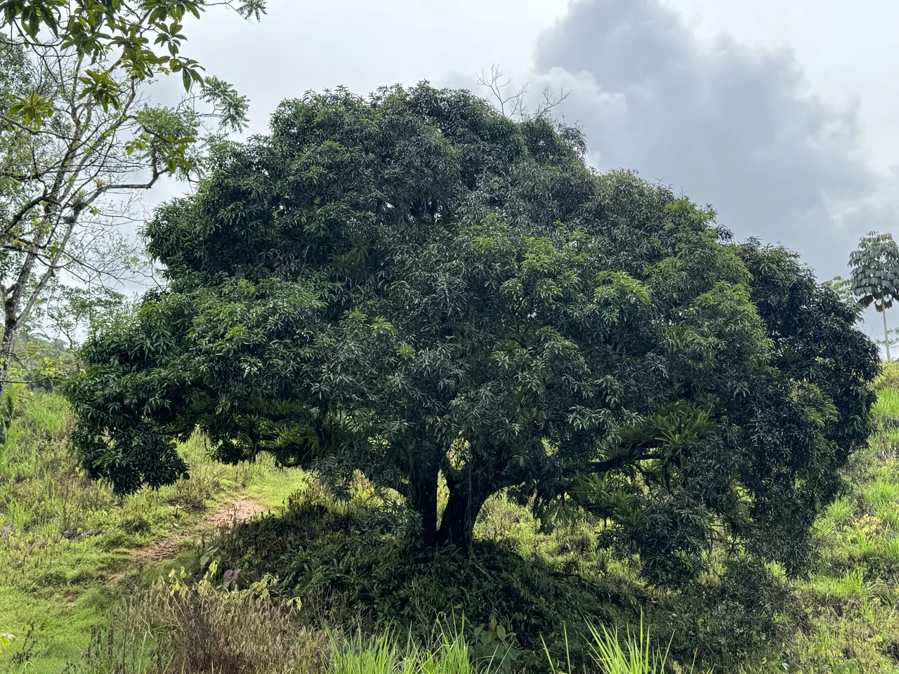 19 Acre Riverfront Lot with Private Waterfall la Perla Dominical - Gallery image 12