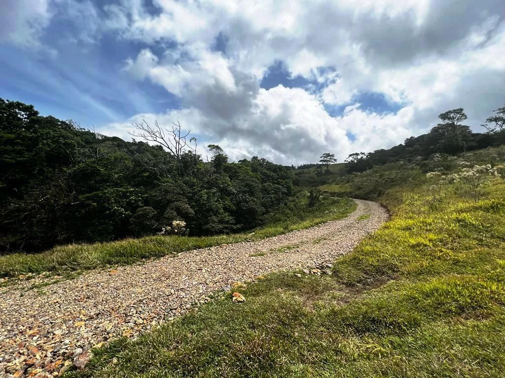 4.5 ha building land with fantastic lake view - Gallery image 9