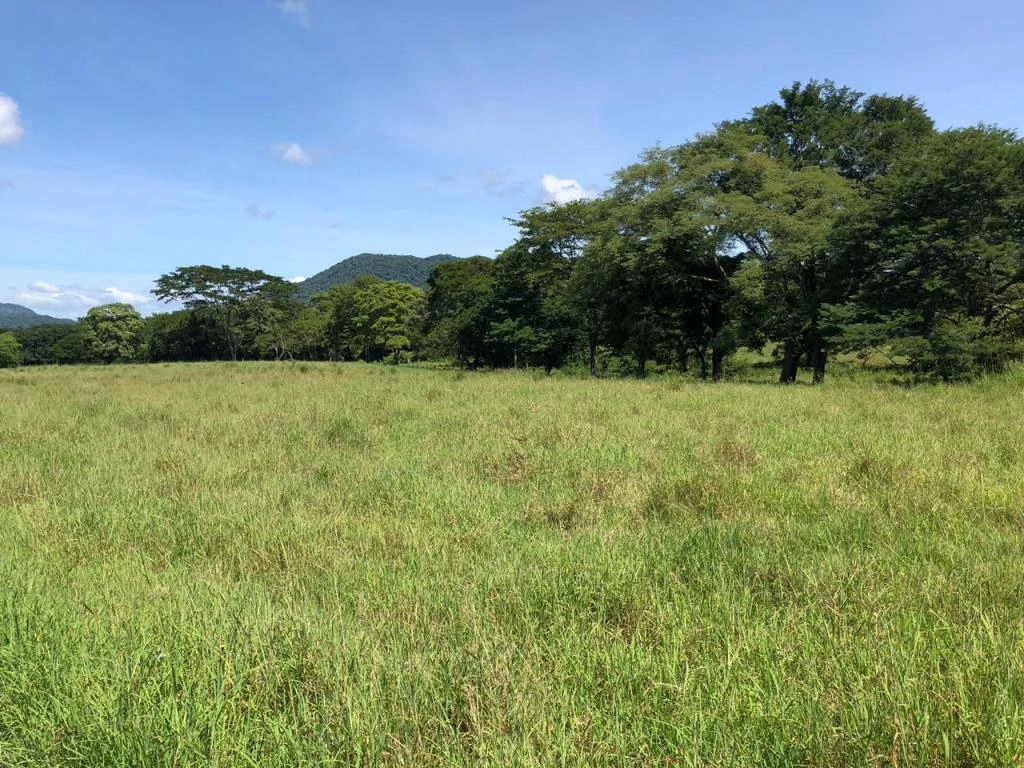 Huge dream Cattle farm for sale with 2 houses close to the Gulf of Nicoya, Guanacaste, Costa Rica - Gallery image 34