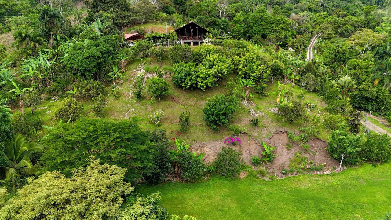 Charming Hardwood Cabin with Fruit Garden Near San Isidro - Gallery image 60