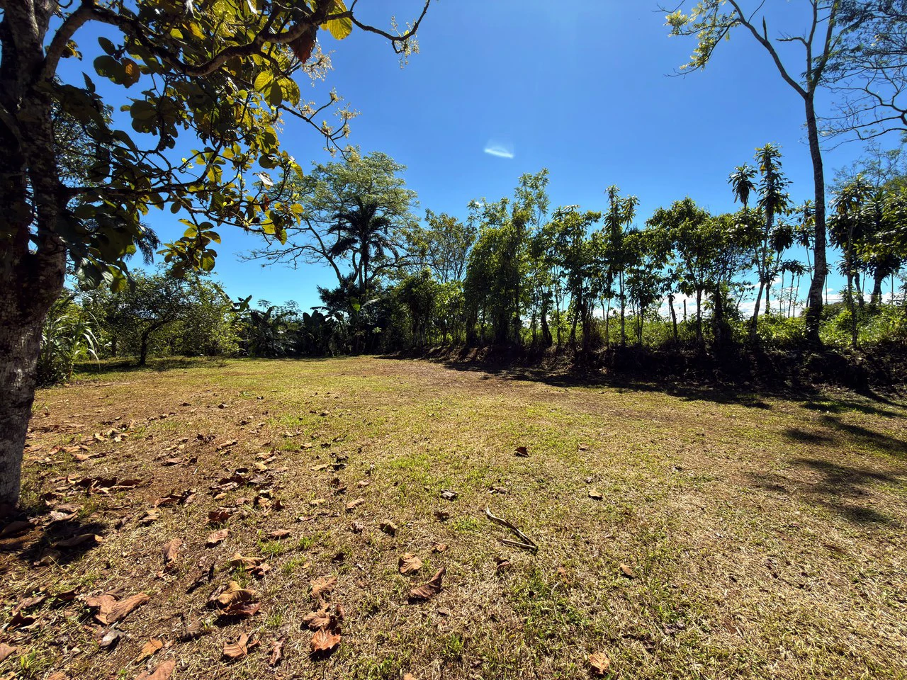 Countryside Home Construction Site For Sale in San Pedro - Gallery image 20