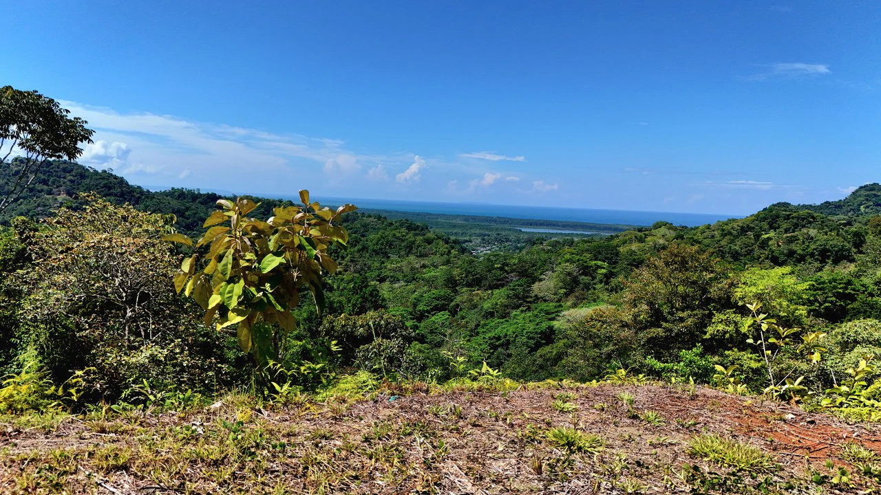 Ocean View Property with River & Waterfall Access – Tres Ríos de Osa - Gallery image 5
