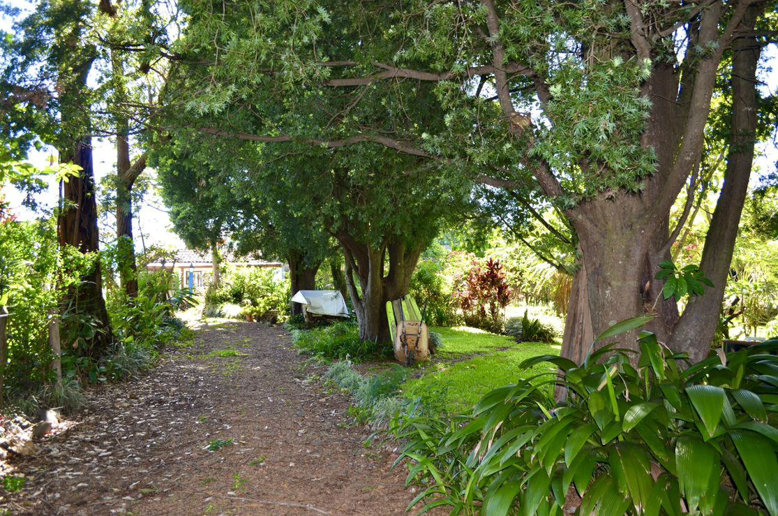 Commercial lot for sale in Santo Domingo, Heredia - Gallery image 14