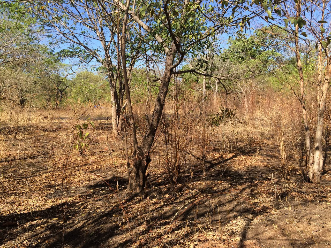 Large property, close to Playas del Coco - Gallery image 6