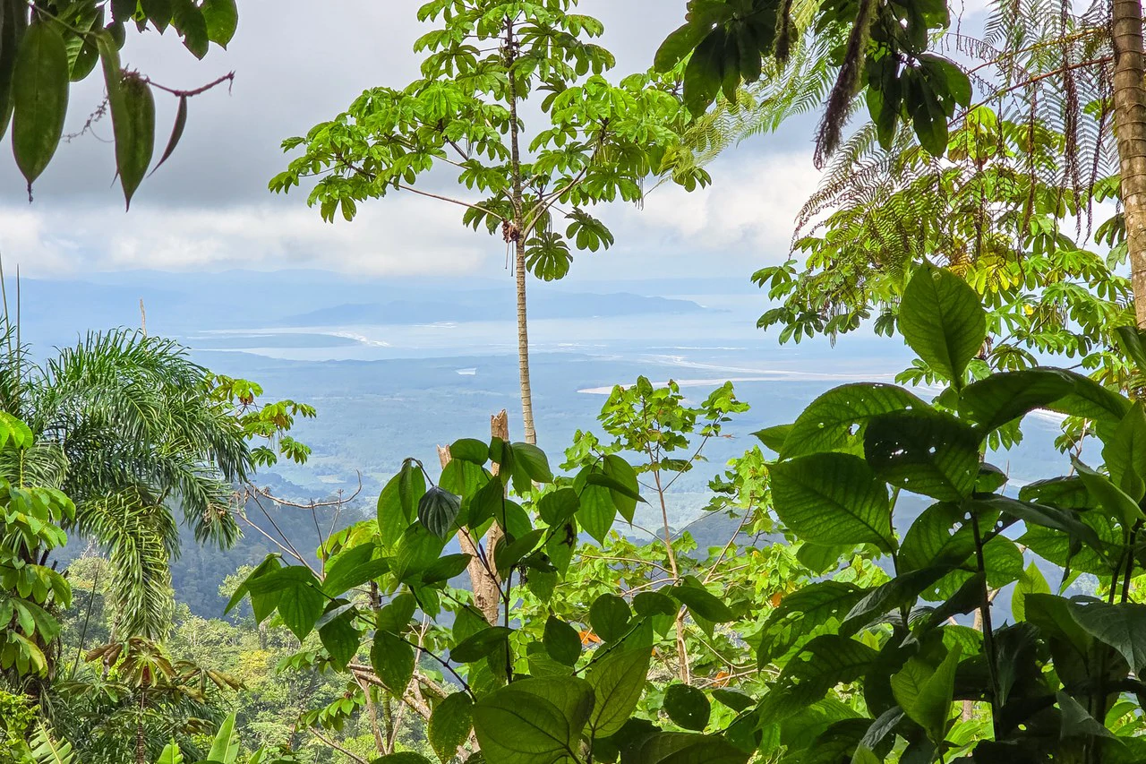 Near the Coast Home Construction Site For Sale in Ciudad Cortés - Gallery image 12