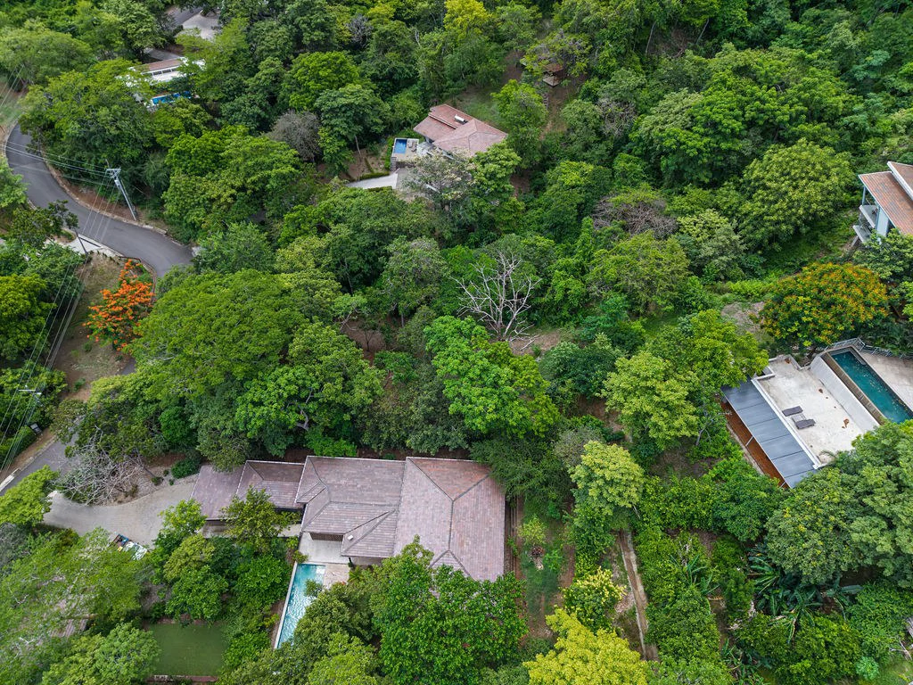 Lot 24 Cara Cara: Exceptional Forest Homesite in Las Ventanas de Playa Grande - Gallery image 5