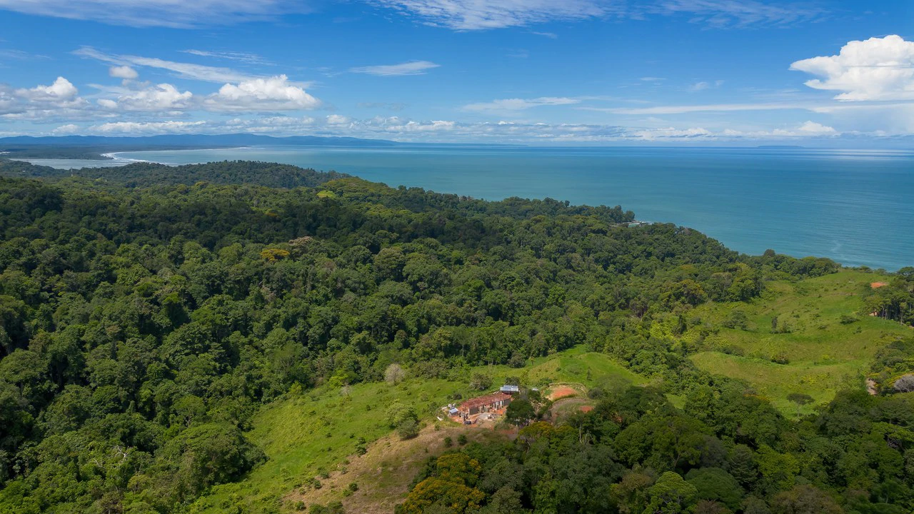 Luxury Ocean View Lot in Piñuelas - Premier Building Site - Gallery image 10