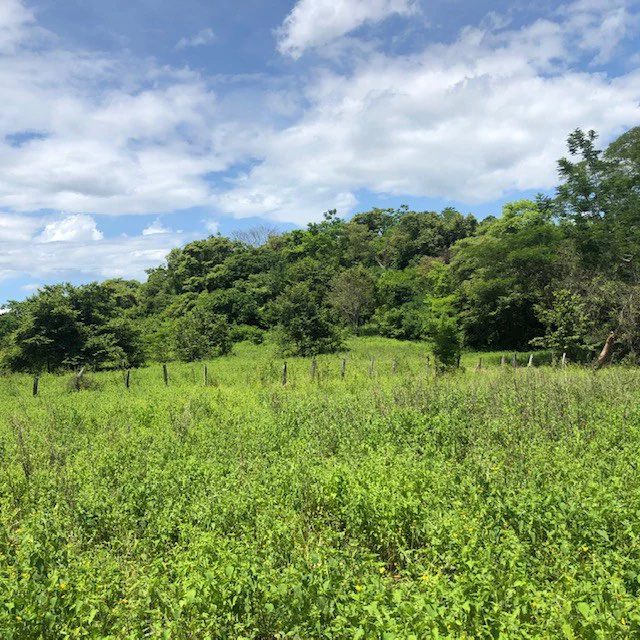 Amazing 50% discount for Huge ocean-view farm for sale surrounded by soft rolling hills and pristine nature - Gallery image 17