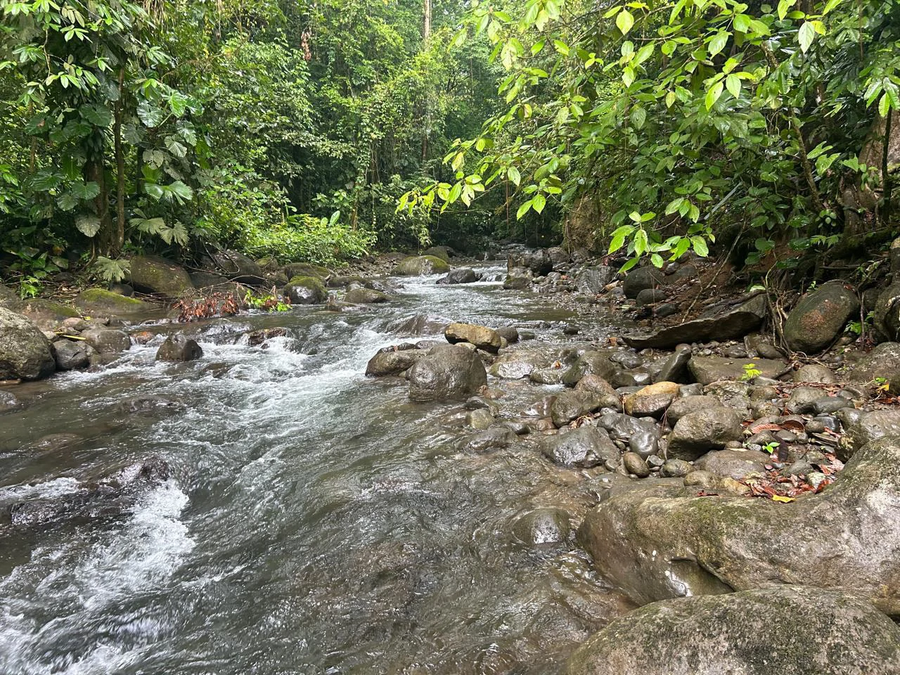 Incredible Building Lot: Riverfront Home Construction Site For Sale in Peñas Blancas - Gallery image 12