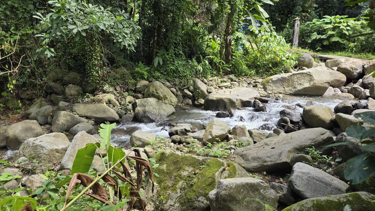 Jungle River Resort: Boutique Jungle River Resort with Pool, Restaurant & Cabinas in Ojochal - Gallery image 42