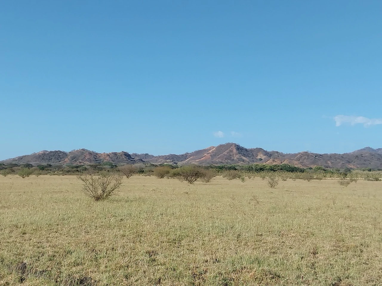 Bonita Finca de 187 Acres / 75 Ha. con Pozos y Ojo de Agua en Filadelfia - Costa Rica: Countryside, Lakefront and Riverfront Agricultural Land For Sale in Fildelfia