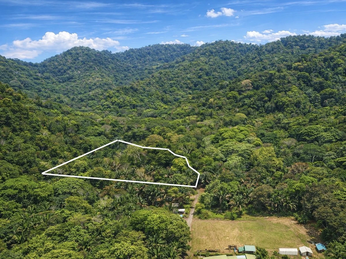 Property Near Carate Beach | 3.5 Hectares, Osa Peninsula