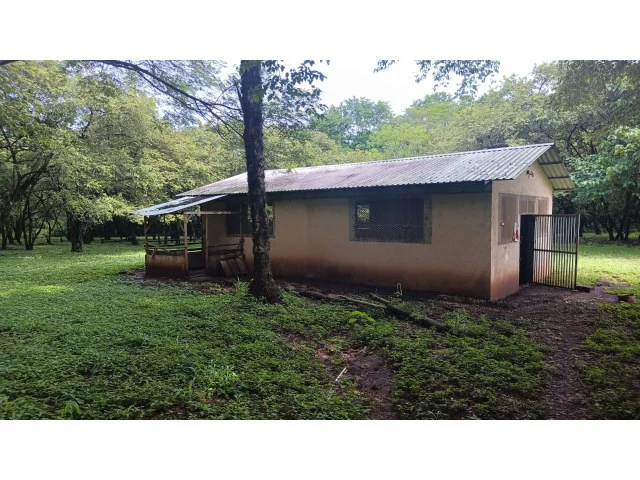 Tamarindo horse farm with two houses, a barn in the best natural setting - Gallery image 31