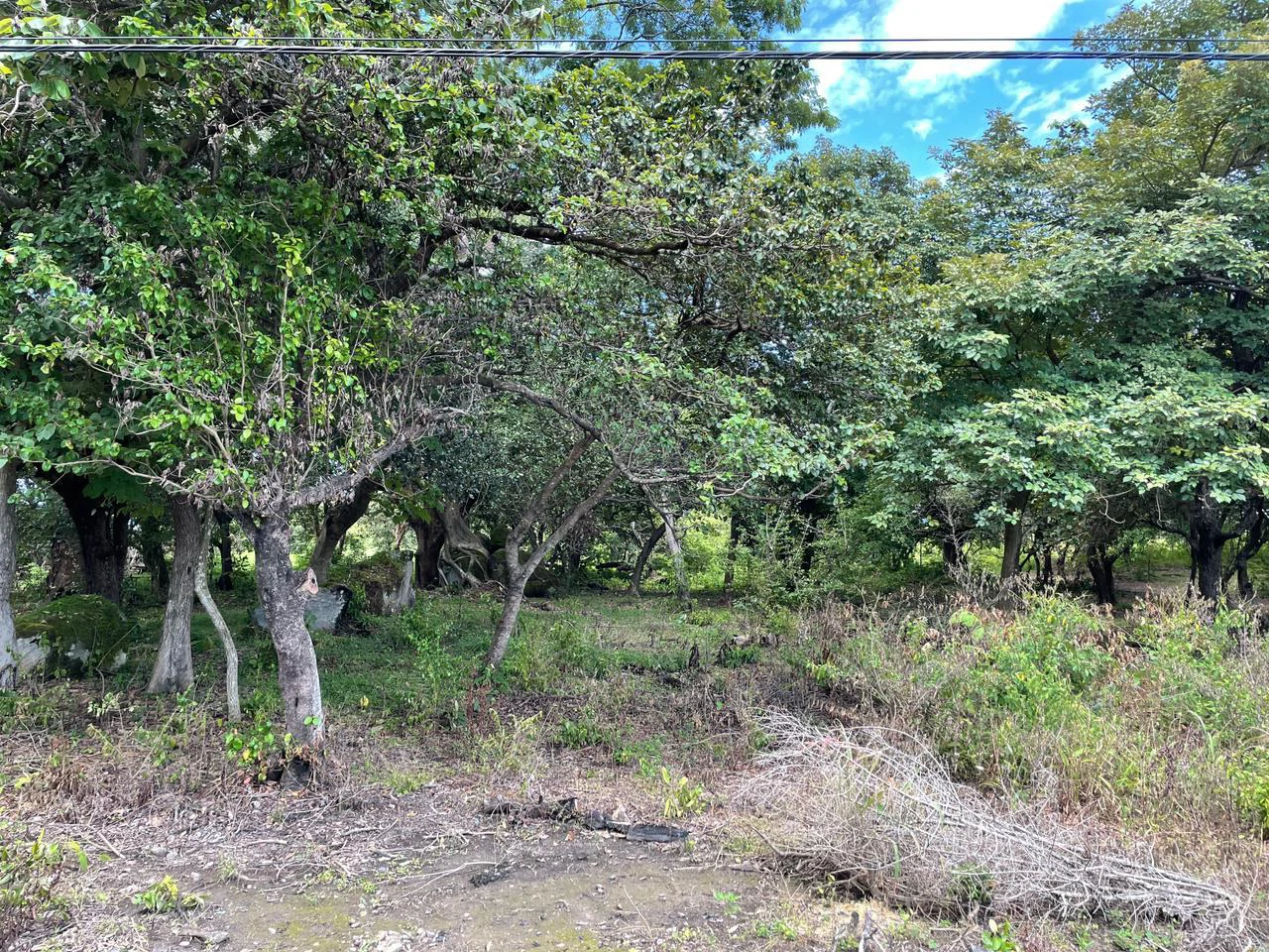 Airport Liberia Top commercial location huge property for sale - Gallery image 5