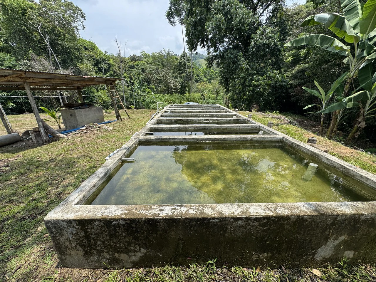 50 Acre Waterfall and River Paradise Above Dominical - Gallery image 24