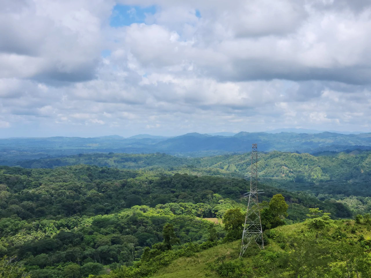 PRIME PARRITA FARM FOR SALE - Gallery image 22