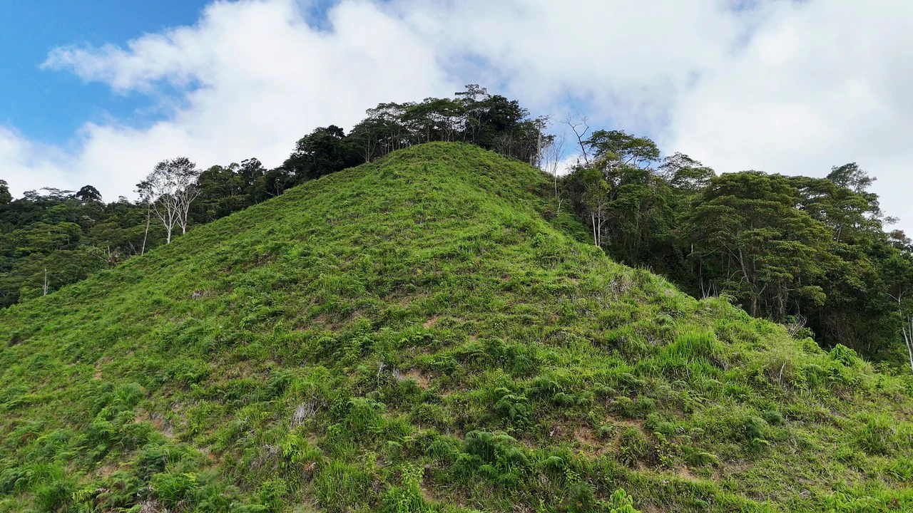 Mountain Agricultural Land For Sale in San Isidro del General - Gallery image 7