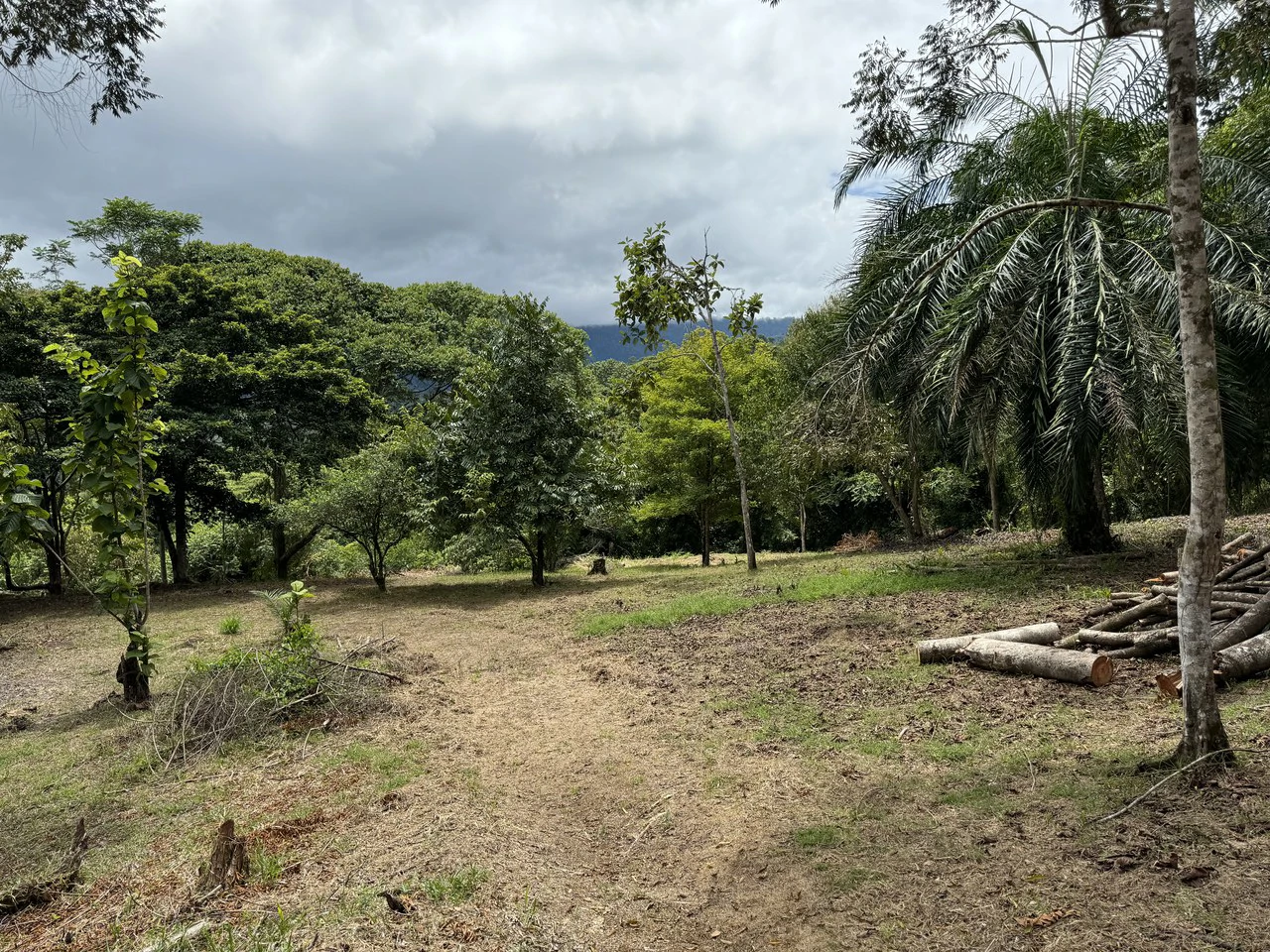 Diamante Waterfall View Land in Dominical 2.9 Acres - Gallery image 13