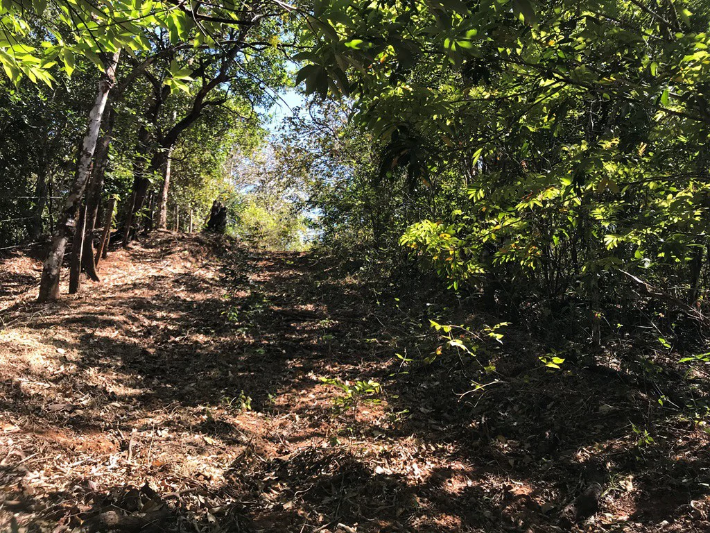Ocean view farm for sale in the mountains of San Juanillo - Gallery image 18