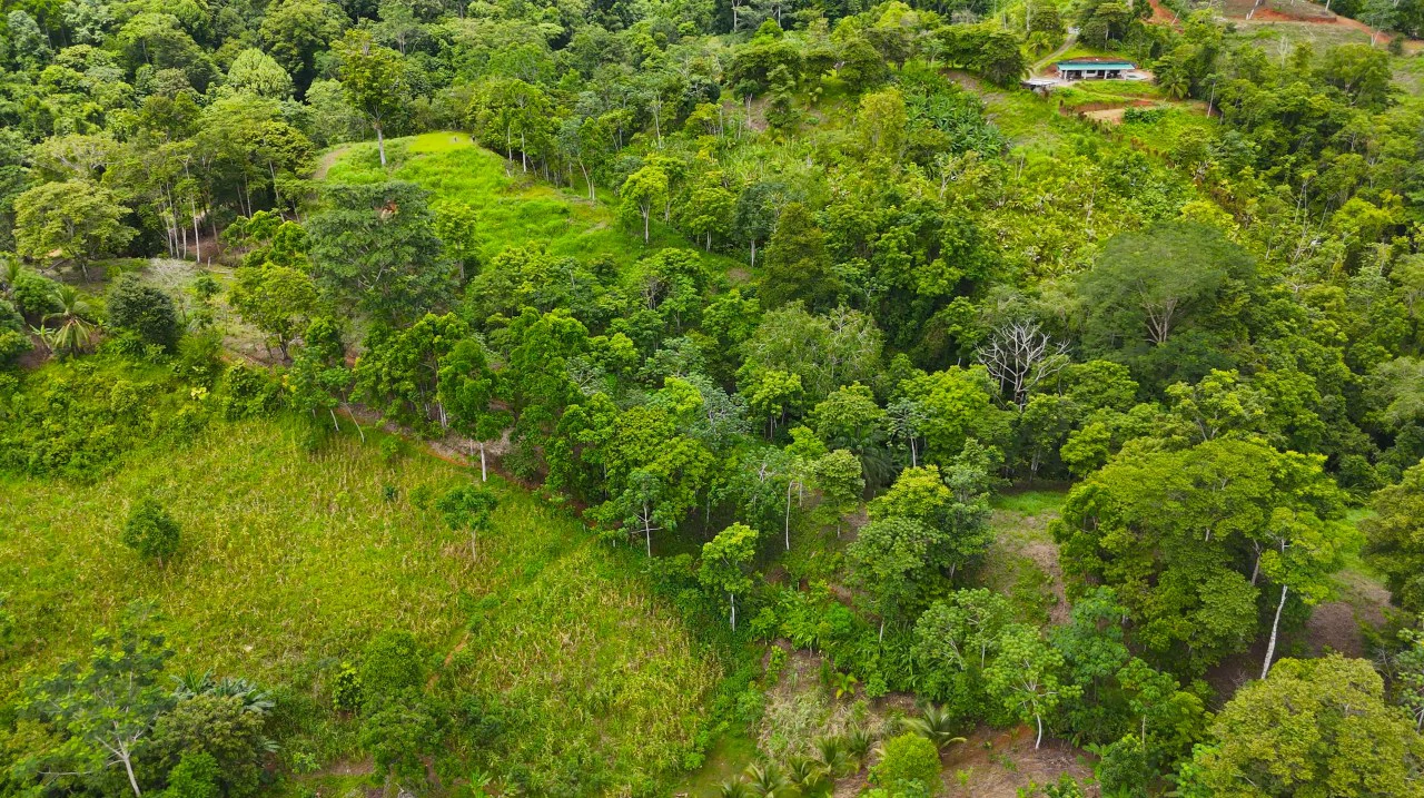 GULF VIEW PROPERTY IN PUERTO JIMENEZ, COSTA RICA - Gallery image 15